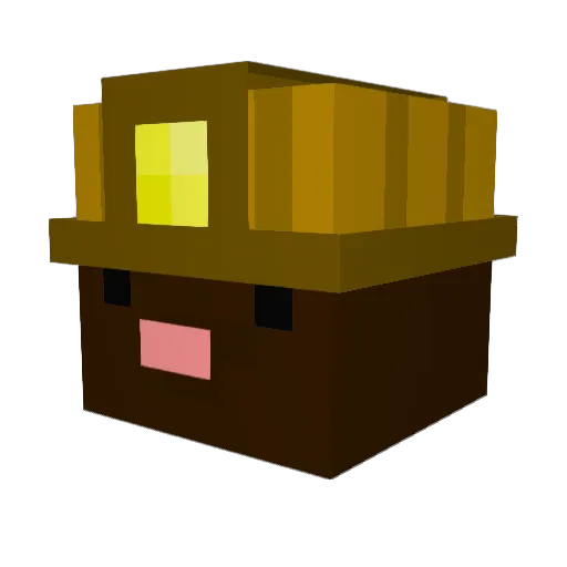 mccainminecraft Minecraft avatar head, 3D render