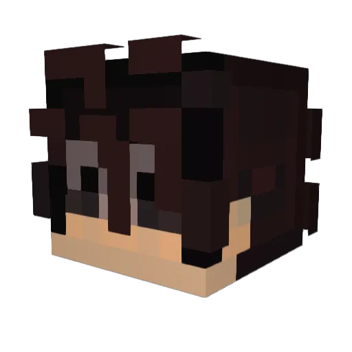 mccnlights Minecraft avatar head, 3D render