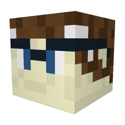 mcctaft Minecraft avatar head, 3D render