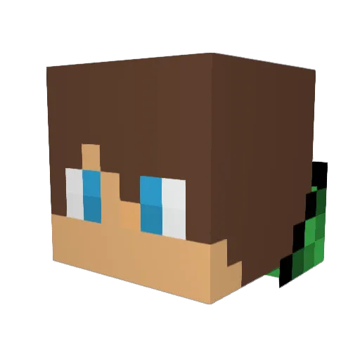 mcfighterlol Minecraft avatar head, 3D render