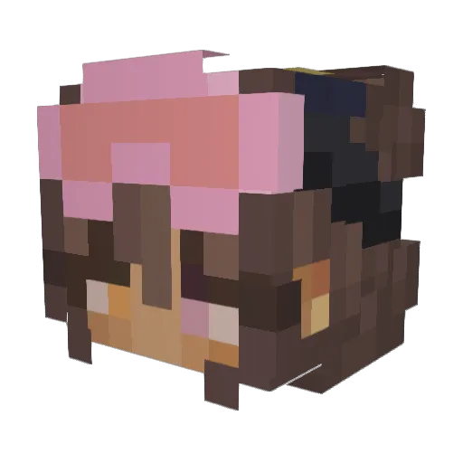 mcfishbowl Minecraft avatar head, 3D render