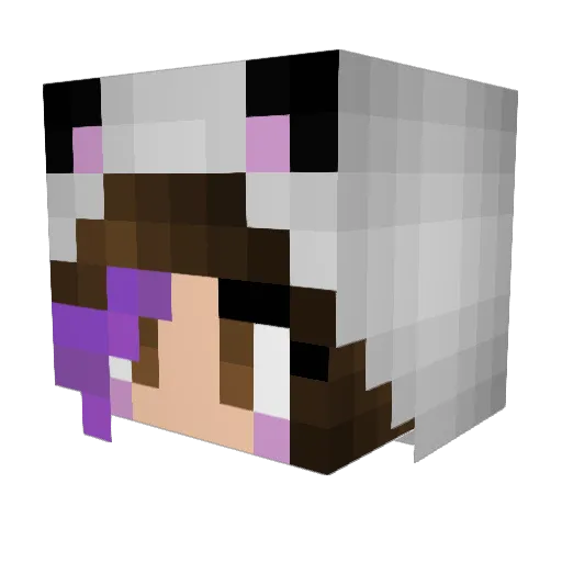 mcfwpuff Minecraft avatar head, 3D render