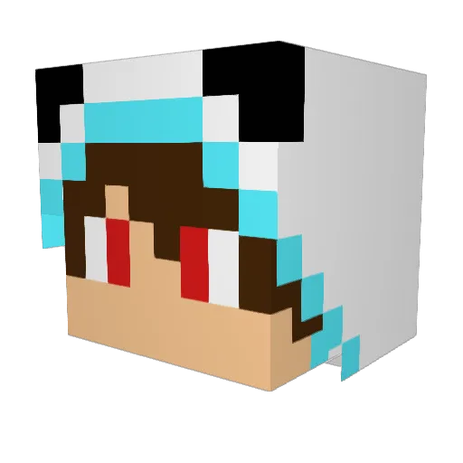 mcheckboy7209 Minecraft avatar head, 3D render