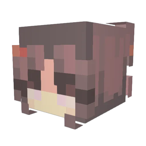 mckerna Minecraft avatar head, 3D render