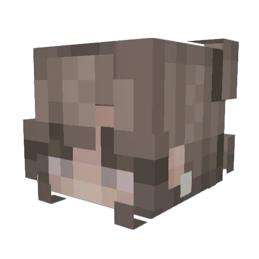 mckinleeevans Minecraft avatar head, 3D render