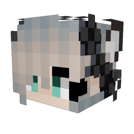 mclovin061205 Minecraft avatar head, 3D render