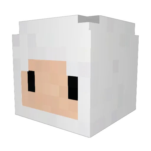 mcmike113 Minecraft avatar head, 3D render