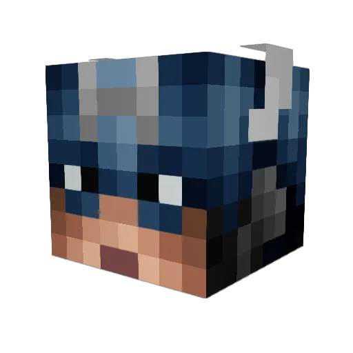 mcminecraft2005 Minecraft avatar head, 3D render