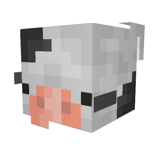 mcnoob2006 Minecraft avatar head, 3D render