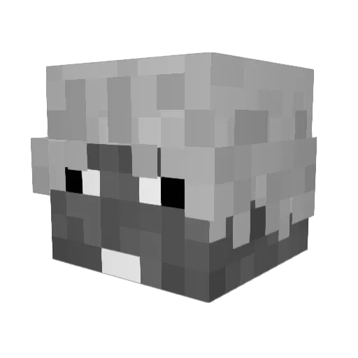 mcnoob421 Minecraft avatar head, 3D render