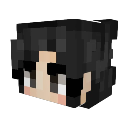 mcntii Minecraft avatar head, 3D render