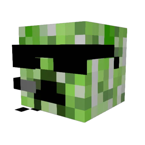 mcool20 Minecraft avatar head, 3D render