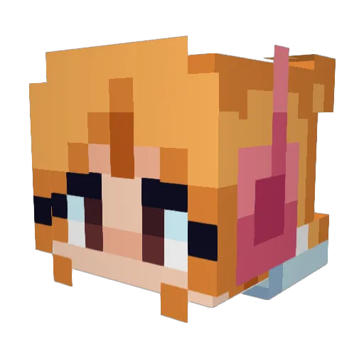 mcpw123 Minecraft avatar head, 3D render