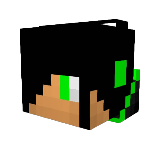 mcraftMADNESS11 Minecraft avatar head, 3D render