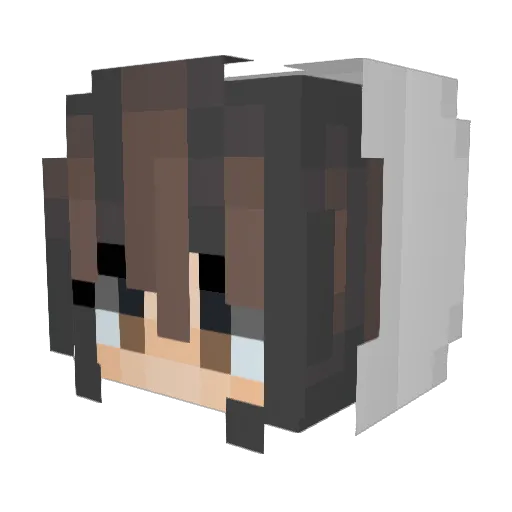 mcrtragic Minecraft avatar head, 3D render