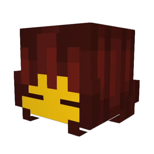 mcsalmon Minecraft avatar head, 3D render