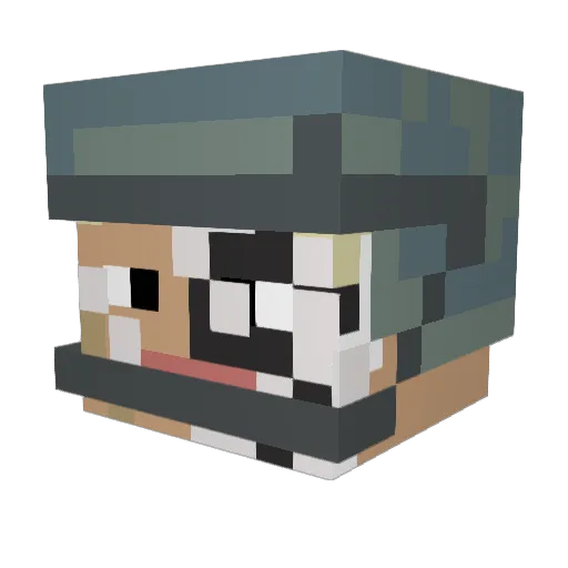 mcseward2014 Minecraft avatar head, 3D render