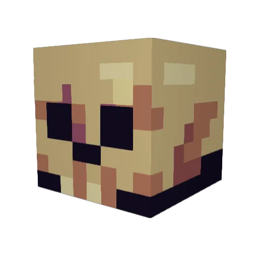 mcsmellybones Minecraft avatar head, 3D render