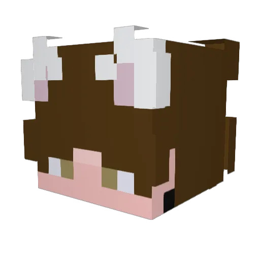 mcsrCatBoy Minecraft avatar head, 3D render