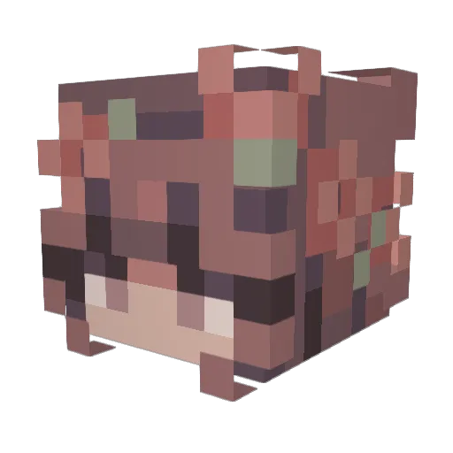 mcthneed Minecraft avatar head, 3D render