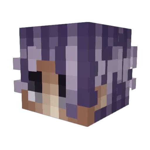 mcuptor69 Minecraft avatar head, 3D render