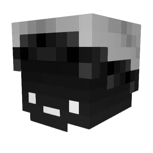 mcwinsjungs Minecraft avatar head, 3D render