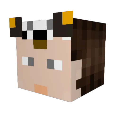 mcyuanfang Minecraft avatar head, 3D render