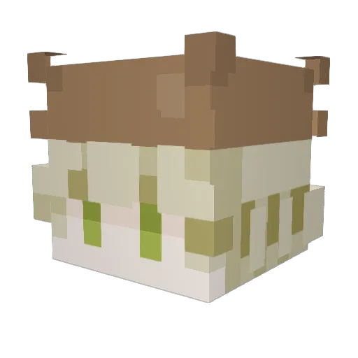 mddn_bsides Minecraft avatar head, 3D render