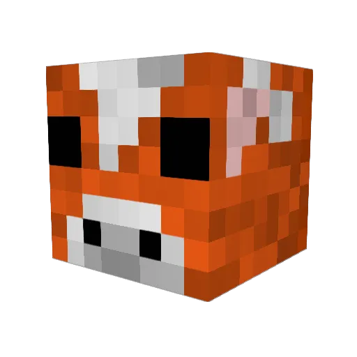 mdogz Minecraft avatar head, 3D render