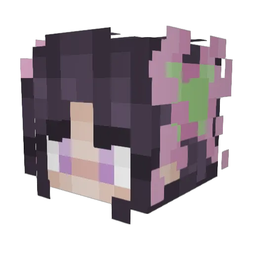 mdragon12345 Minecraft avatar head, 3D render