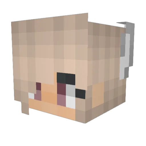 mdy_ Minecraft avatar head, 3D render
