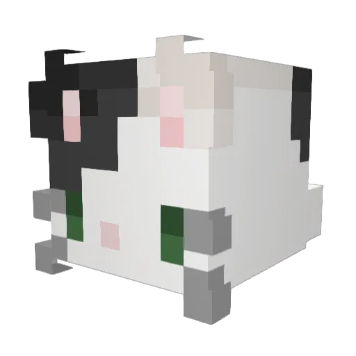 me0w0_ Minecraft avatar head, 3D render