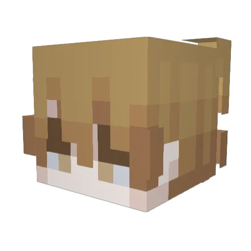 me0wr Minecraft avatar head, 3D render