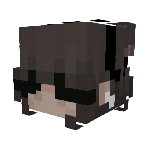 meaghanxo Minecraft avatar head, 3D render