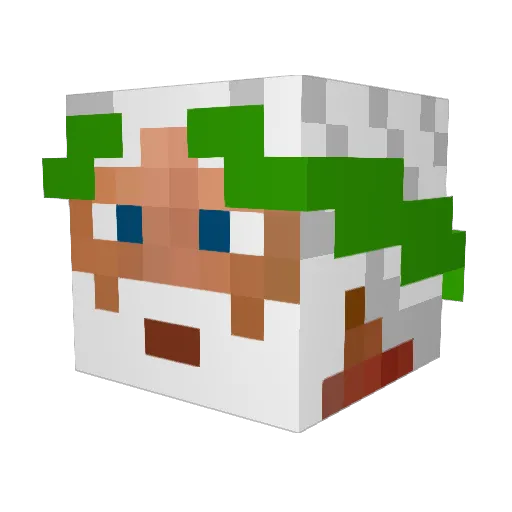 meandean42 Minecraft avatar head, 3D render