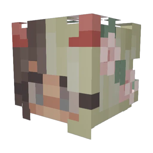 meap0 Minecraft avatar head, 3D render