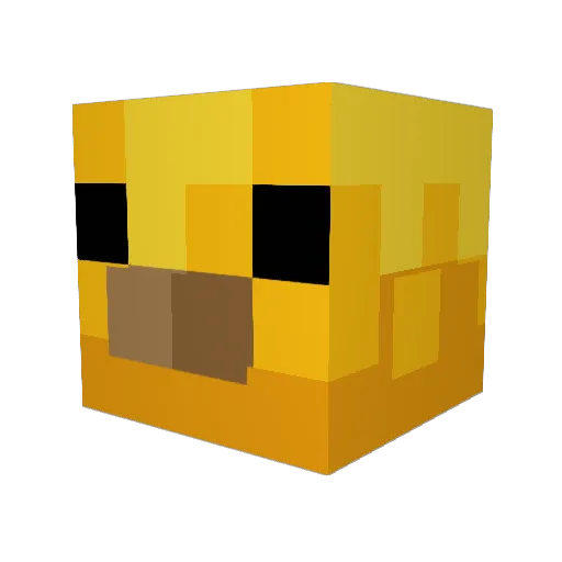 meatballjules Minecraft avatar head, 3D render