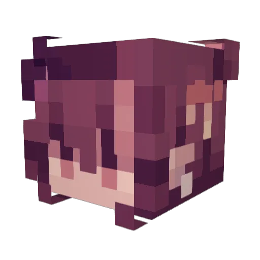 meatballlls Minecraft avatar head, 3D render