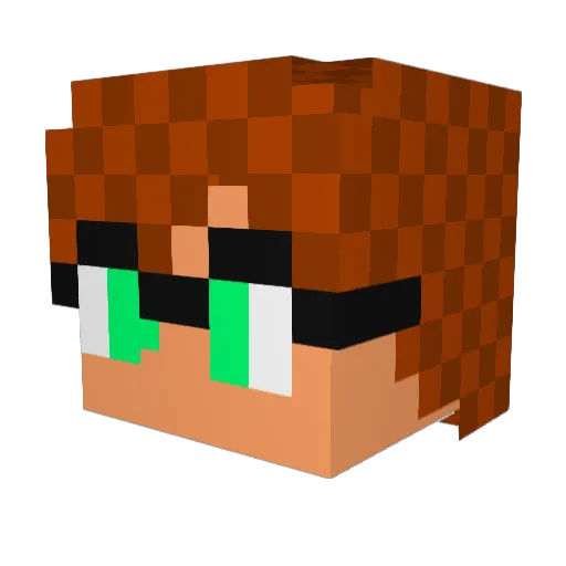 meatballmaniac23 Minecraft avatar head, 3D render