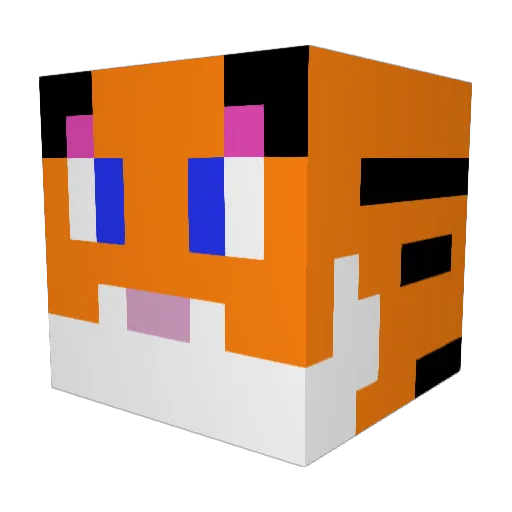meatboxx Minecraft avatar head, 3D render