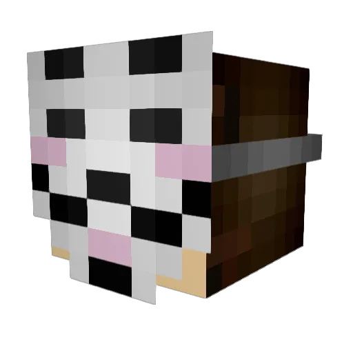 meatogge Minecraft avatar head, 3D render