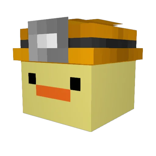 meatwhip91 Minecraft avatar head, 3D render