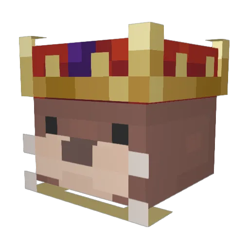 meatywad Minecraft avatar head, 3D render