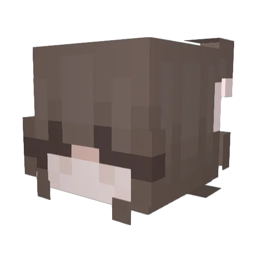 meawliy Minecraft avatar head, 3D render