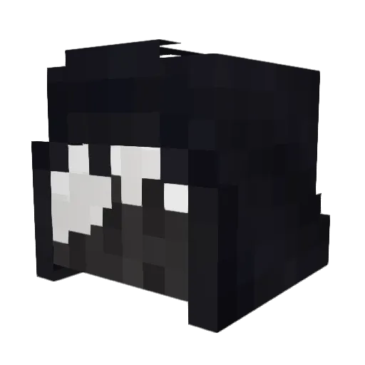 mebhcool Minecraft avatar head, 3D render