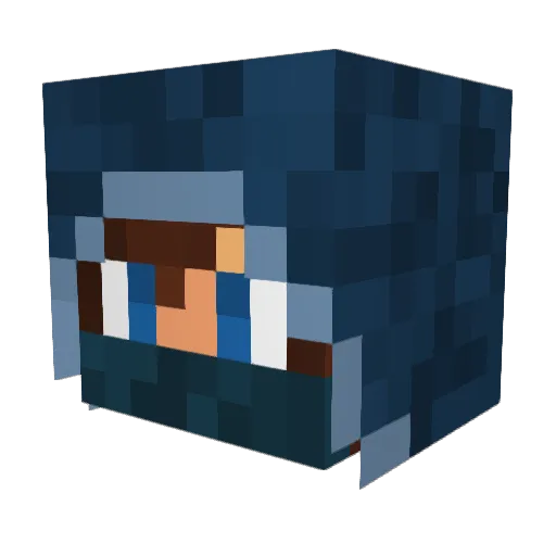 meboi1703 Minecraft avatar head, 3D render