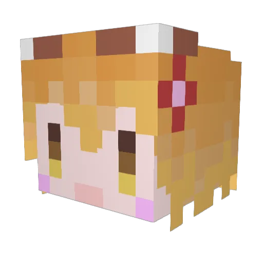 mecan1201 Minecraft avatar head, 3D render