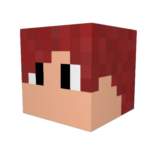 mechanicalBOY Minecraft avatar head, 3D render