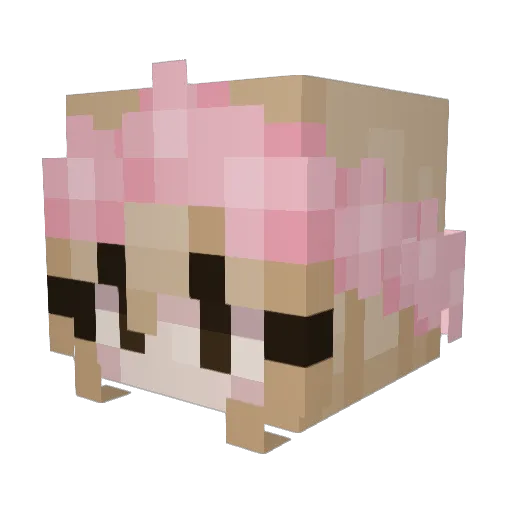 mecher_ Minecraft avatar head, 3D render