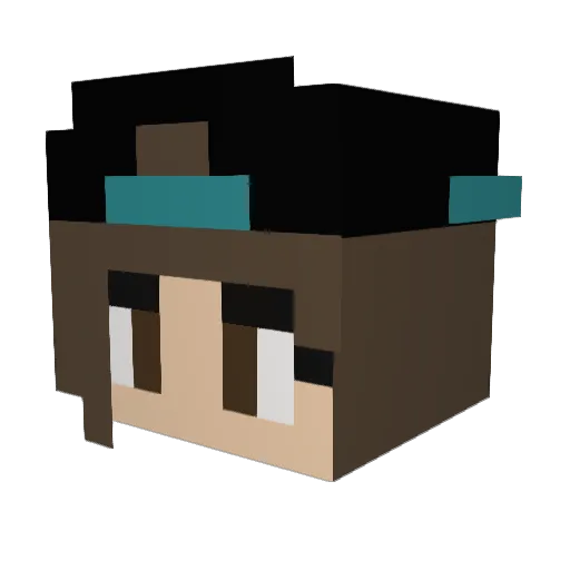 meckerchecker Minecraft avatar head, 3D render